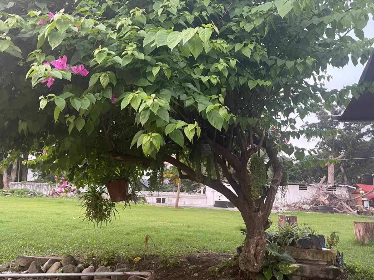 Summer Room B Dumaguete City Exterior foto